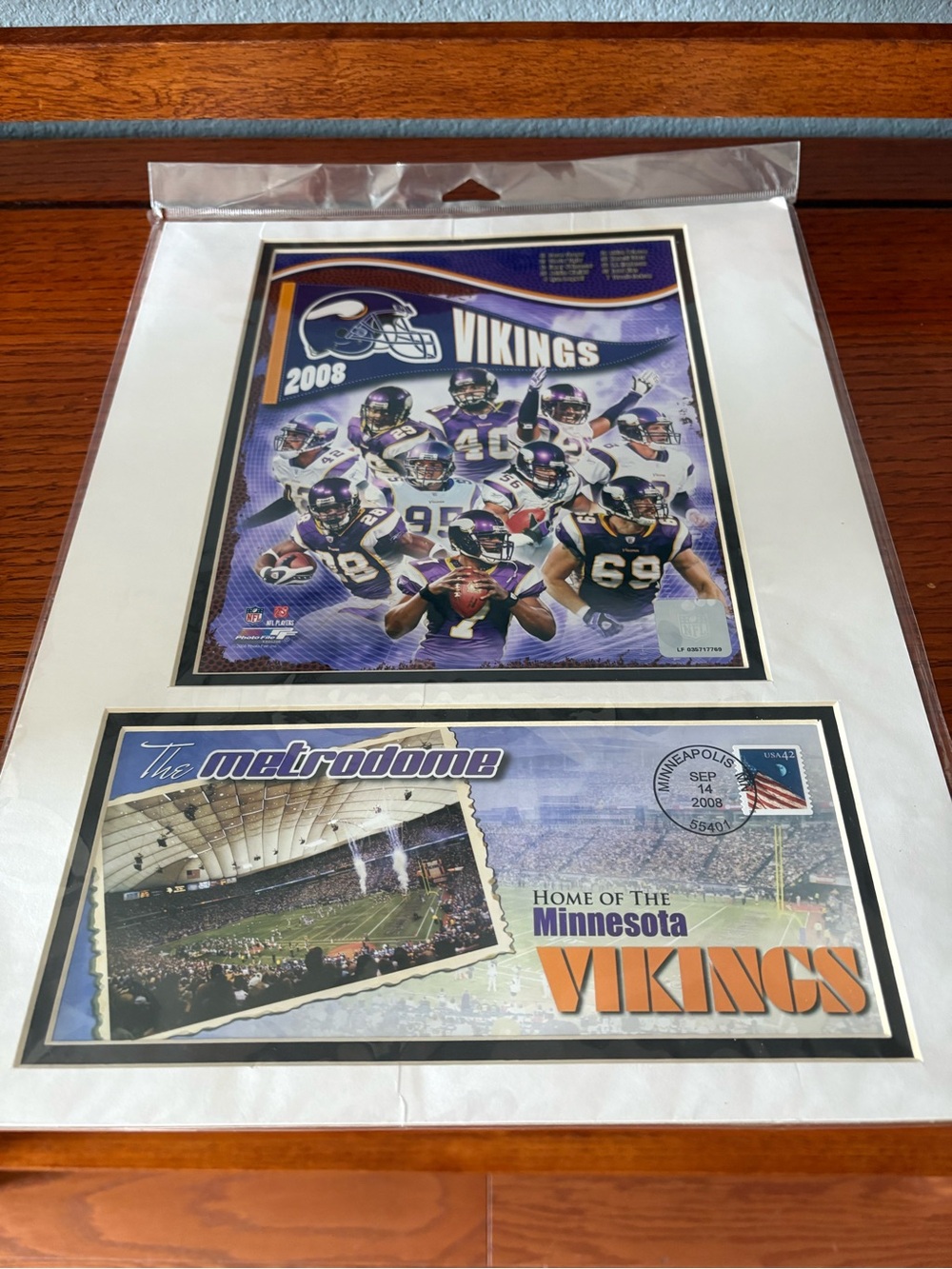 Minnesota Vikings Purple 2008 Team Poster - Official NFL matted post office